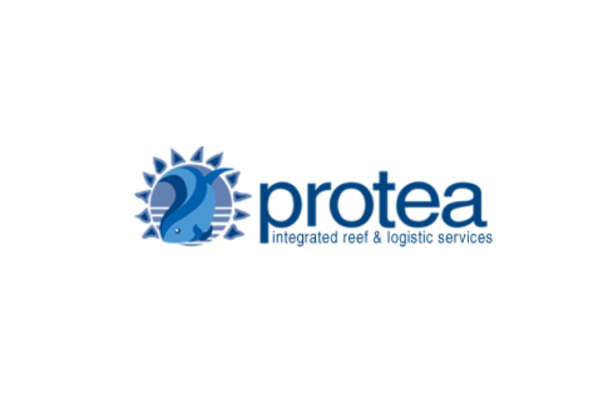 logotipo de Protea